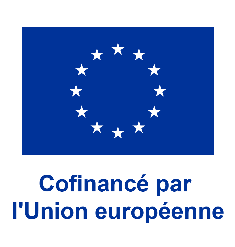 Logo UE